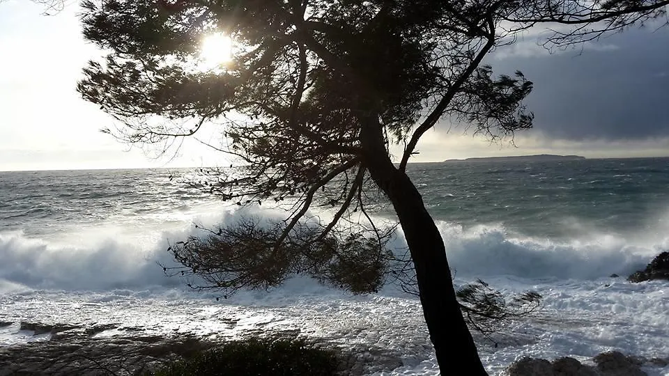 Studio Nada Apartment Mali Losinj 0*,